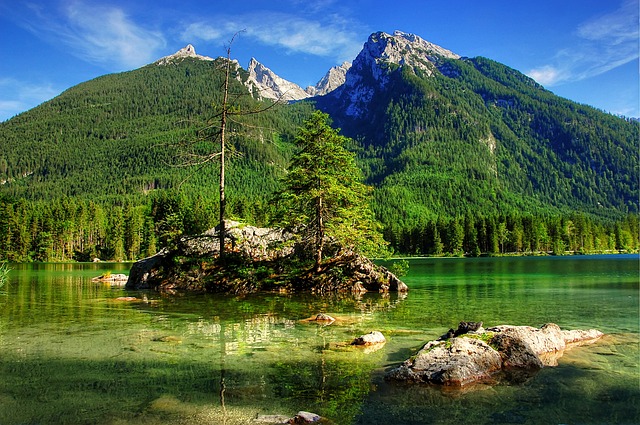 快船管理层