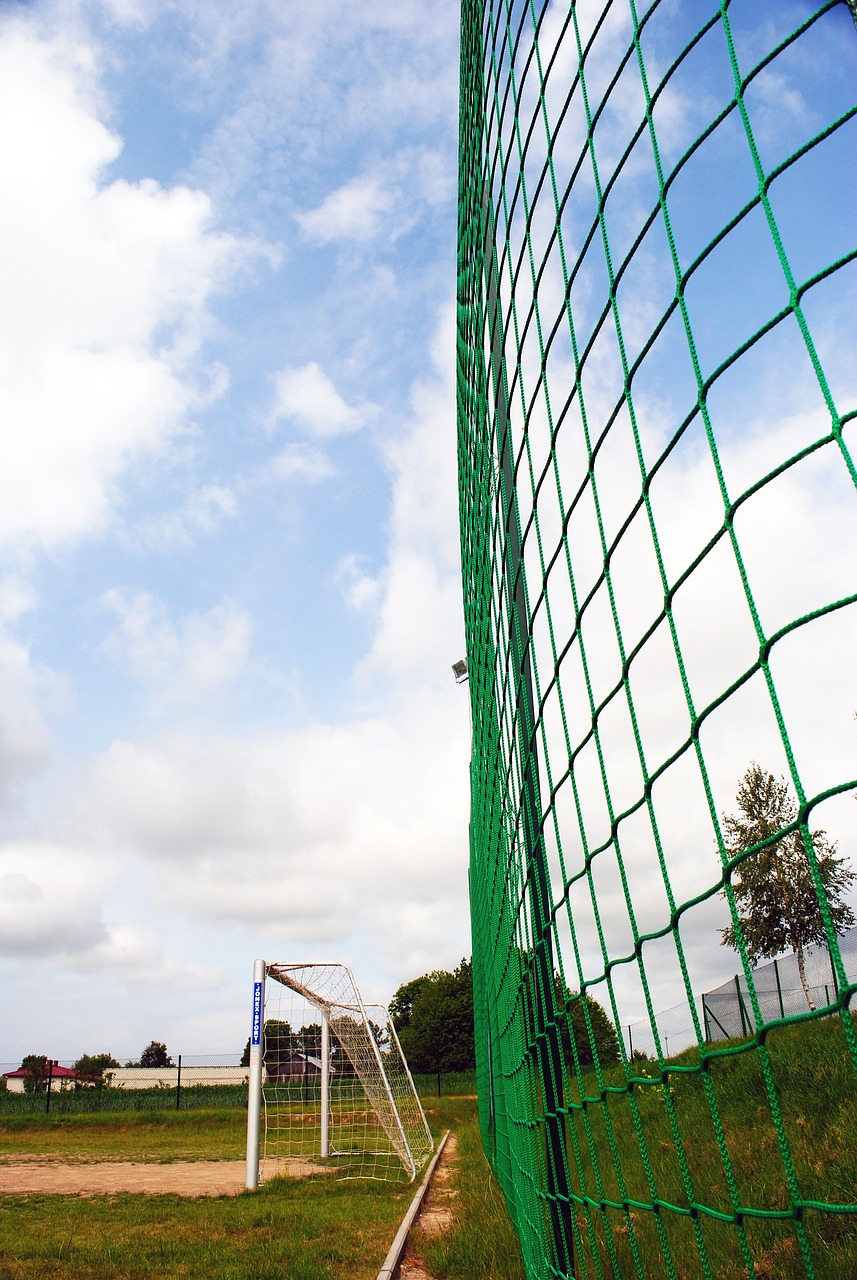 今年引入了 今年引入了