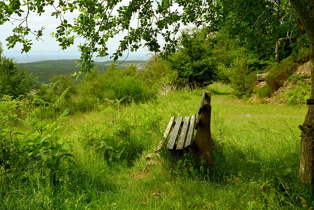 的新动态时 的新动态时