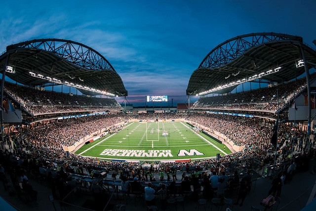 仅是普通球 仅是普通球