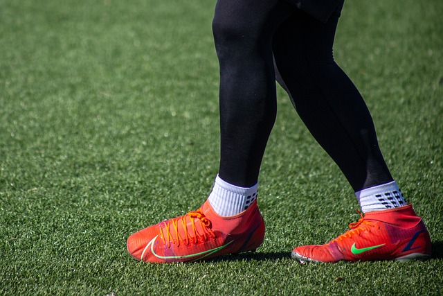 职业生涯的 职业生涯的